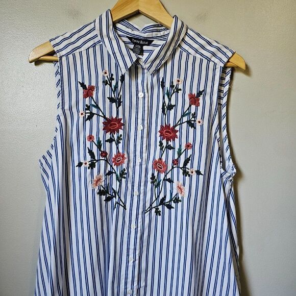 EUC LIKE NEW TERRE BLUE 100% LYOCELL STRIPED EMBROIDERED BUTTON DOWN DRESS SZ L - Picture 8 of 16